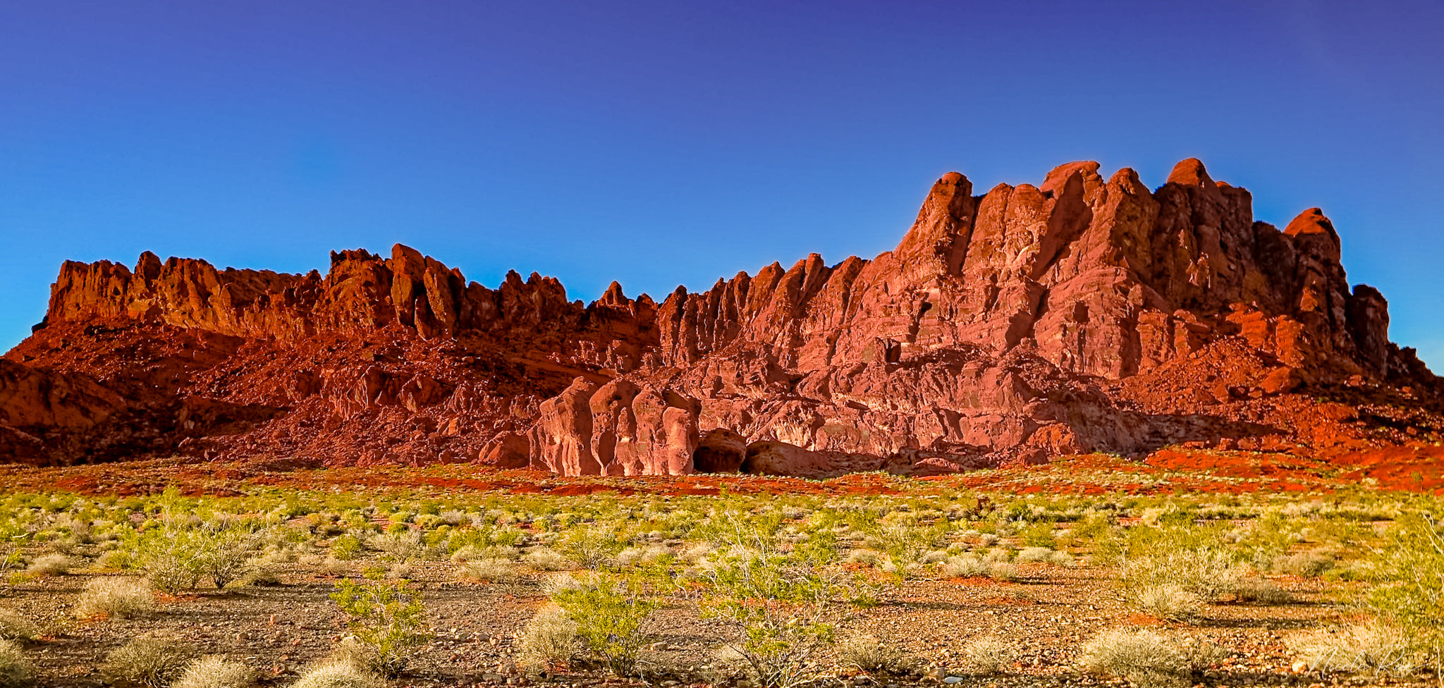 Desert Scenes