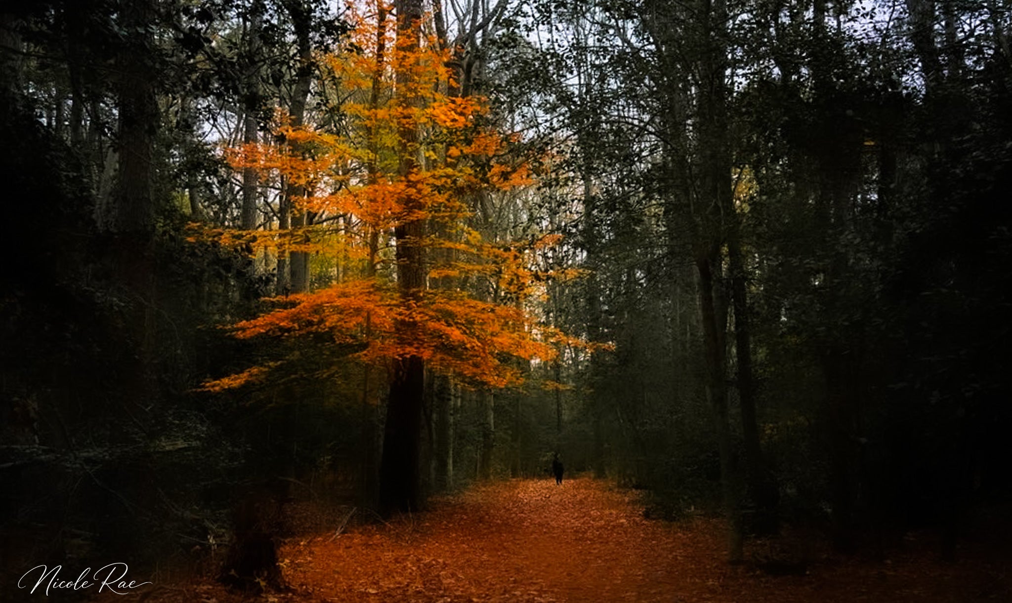 Autumn Ghost Tree