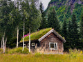 Thatched Roof, Norway