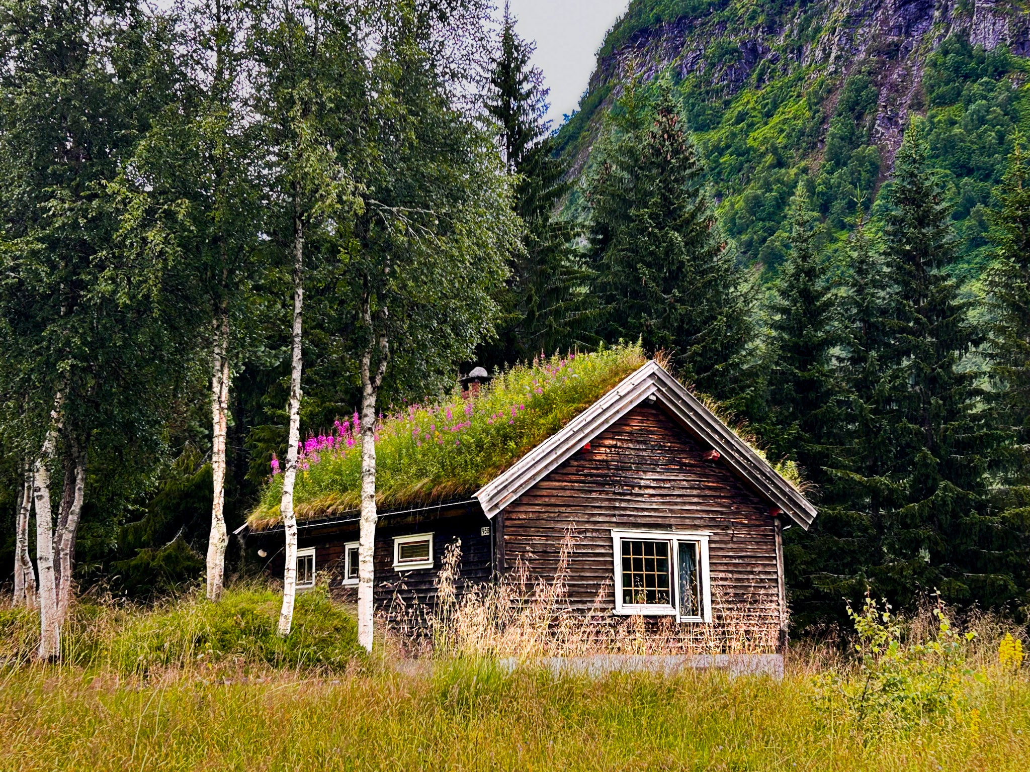 Thatched Roof, Norway