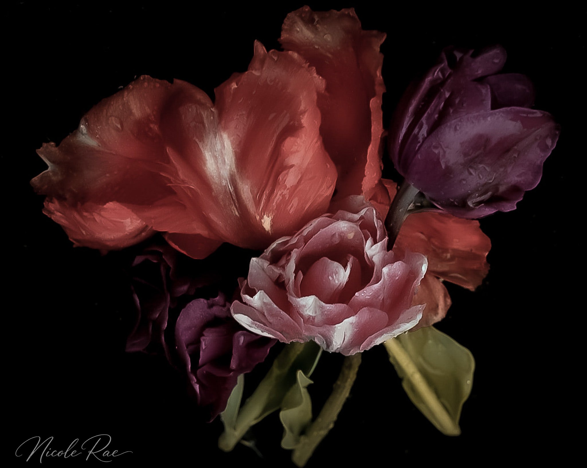bouquet noir