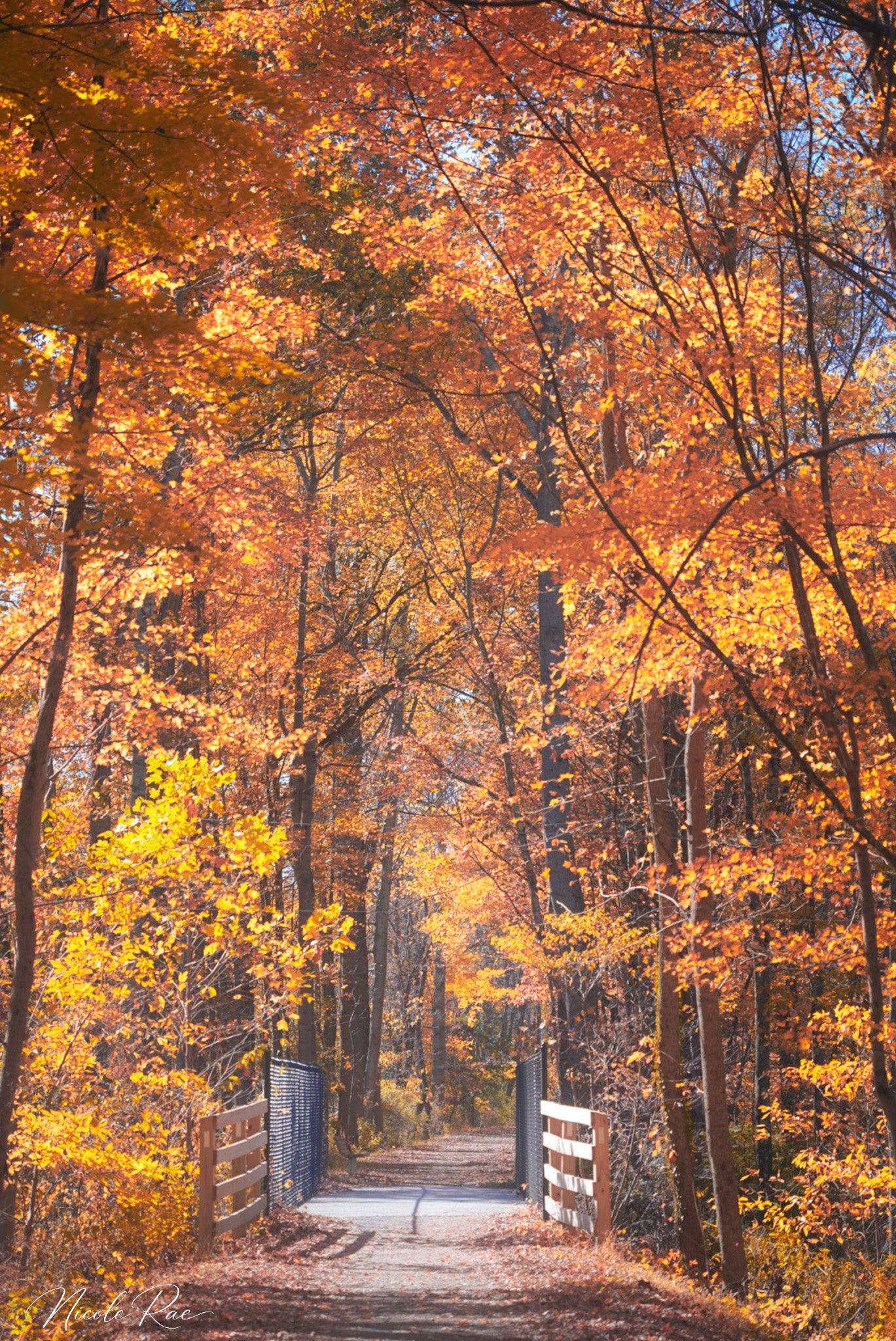 Walking in Autumn