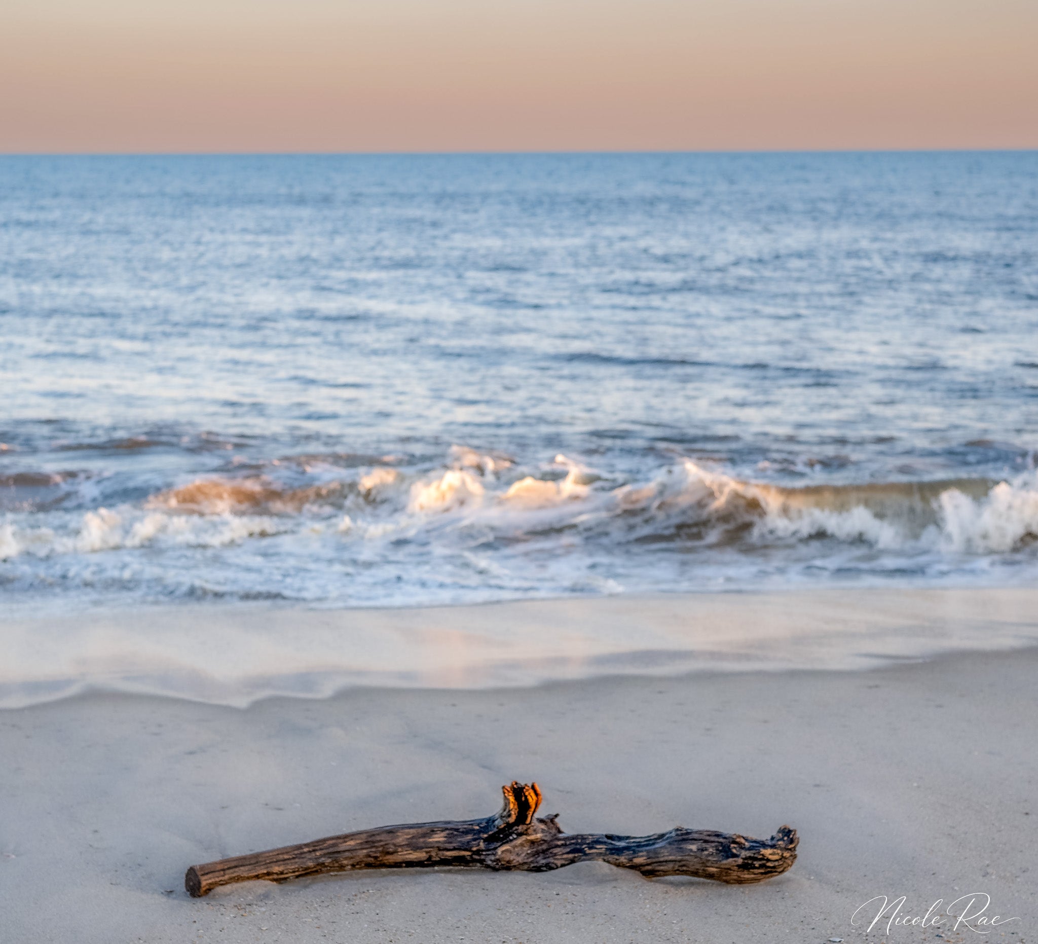 driftwood