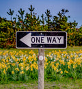 One Way