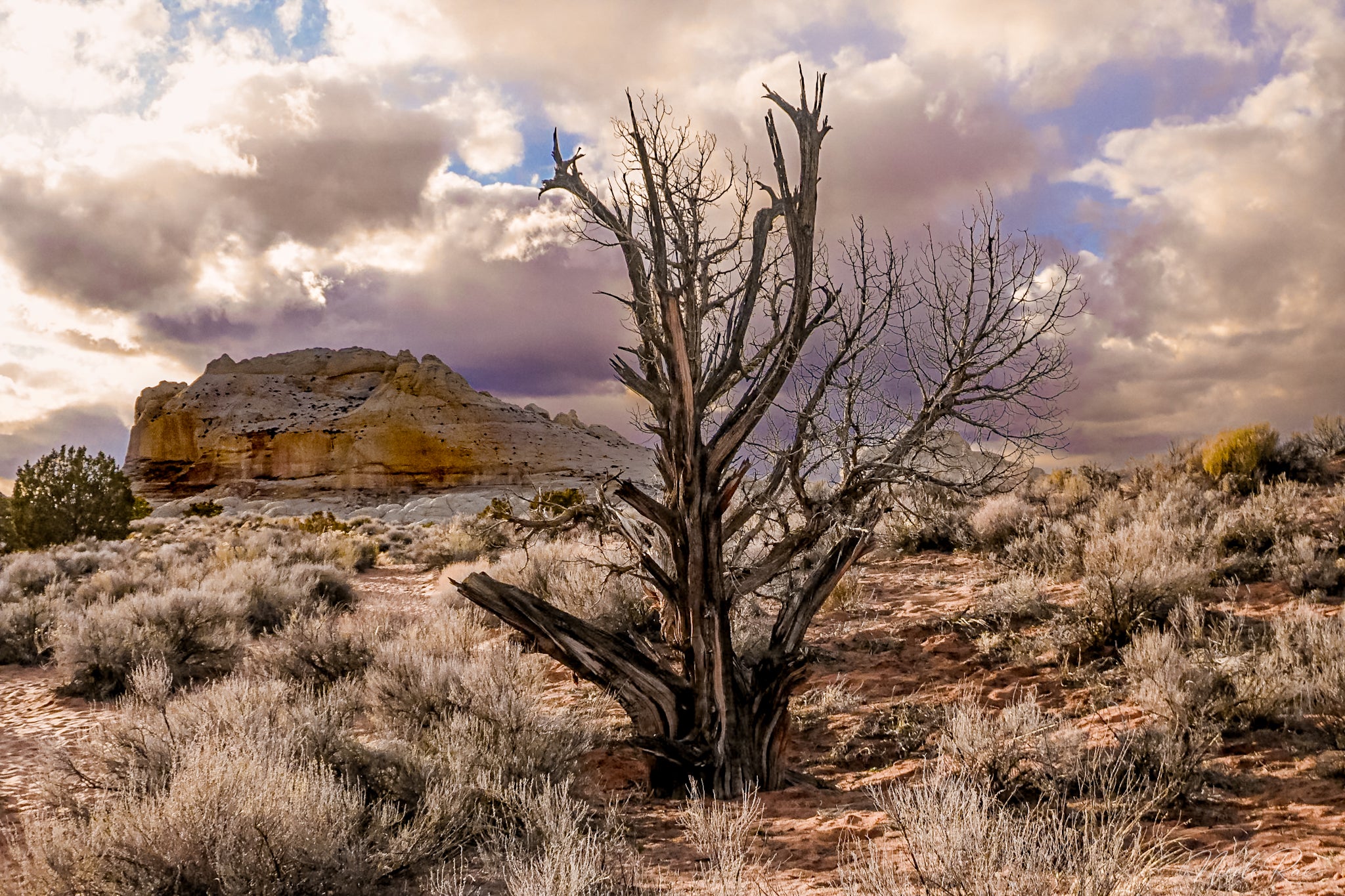 American West