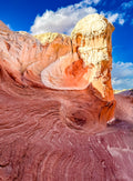 Rock Swirl, White Pocket