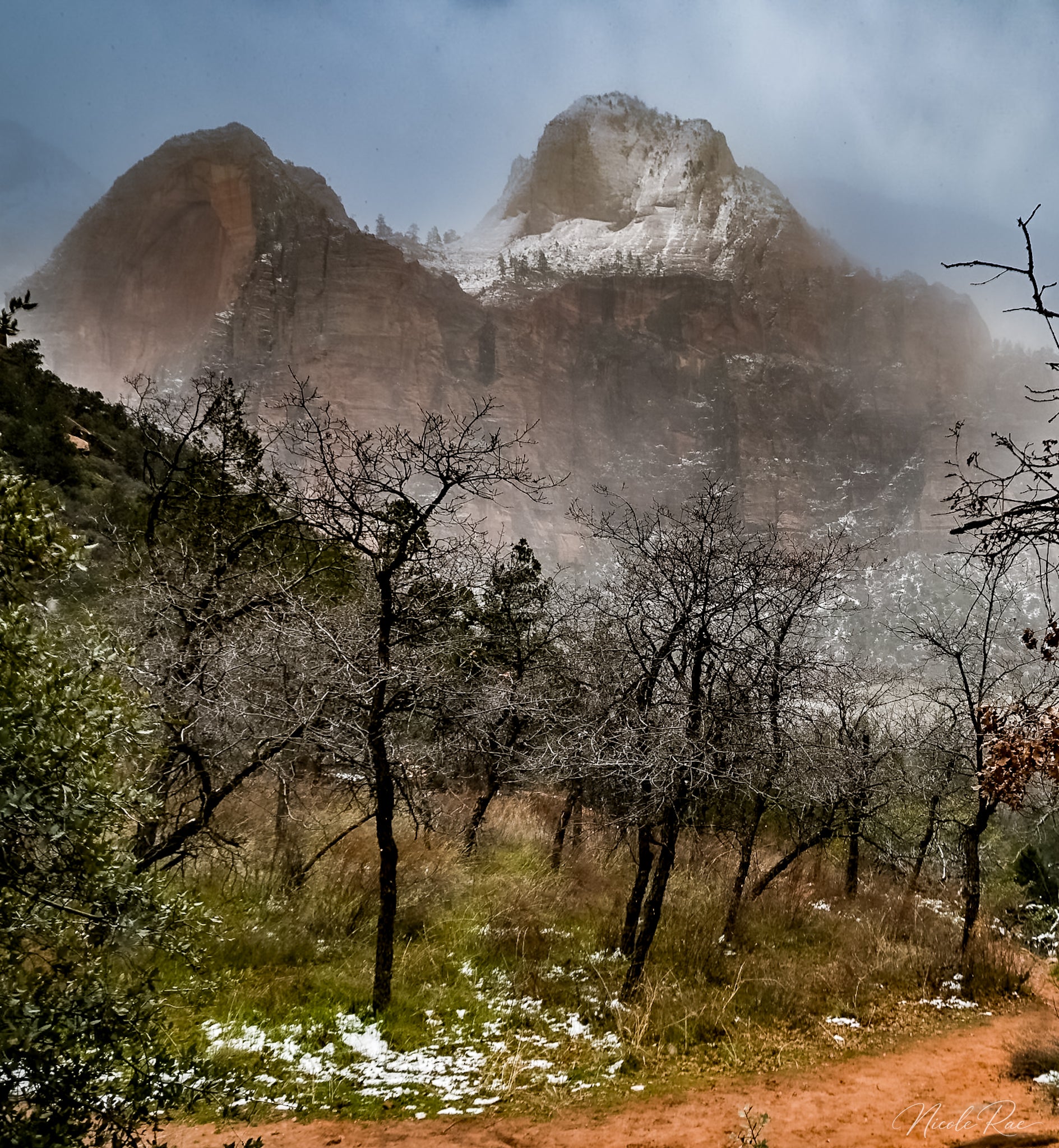 Zion in Winter