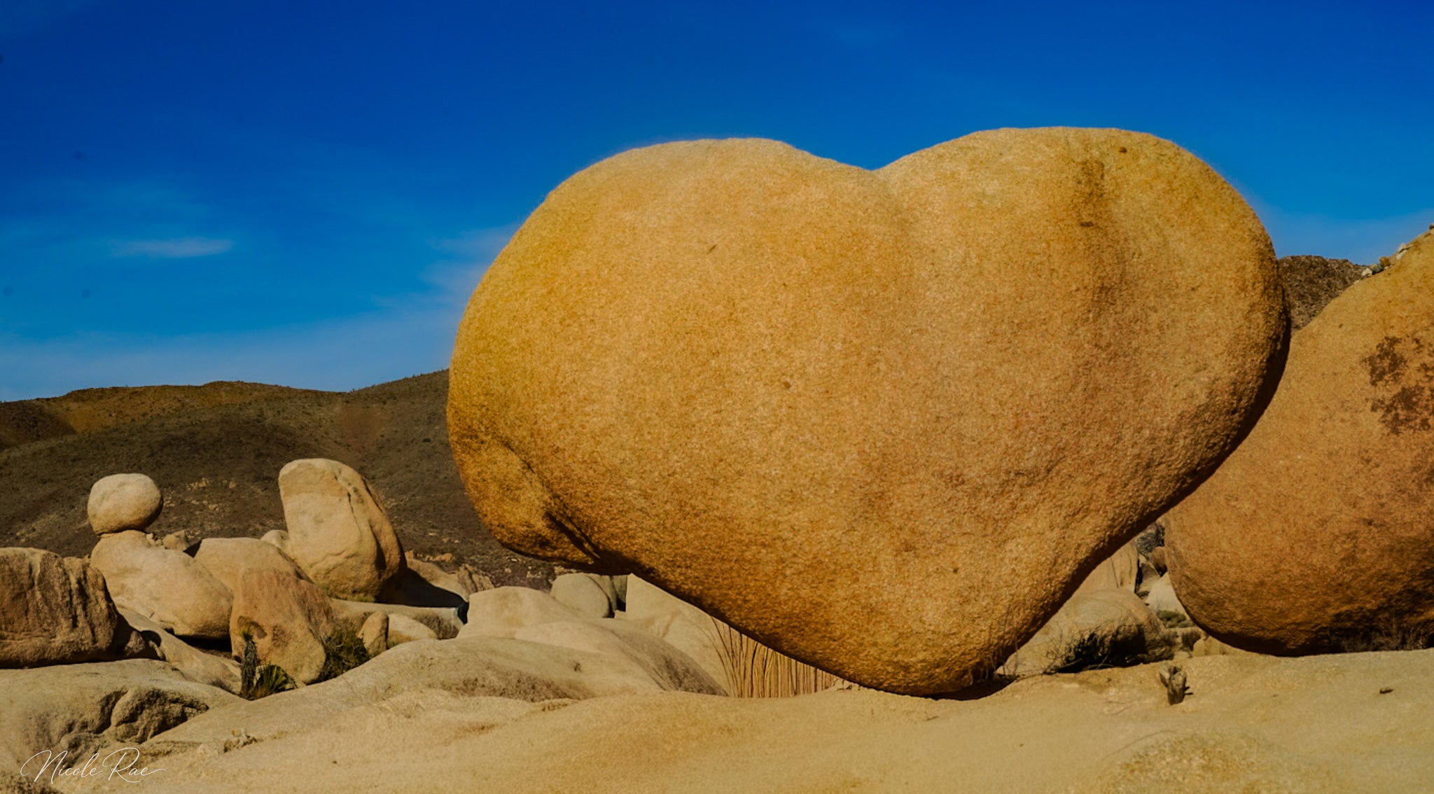 Heart Rock, Joshua Tree National Park