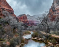 Virgin River, Zion, Winter 2026